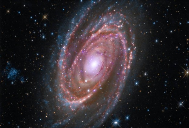 Galaxie M 81 v souhvzd Velk medvdice