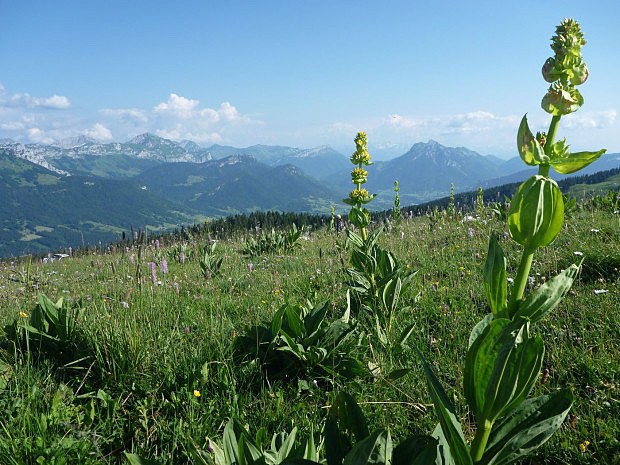 Mont Semnoz, Savojsko
