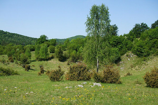 Pleiveck planina - pl Zvonica, pohad na vchod, vzadu Ostr vok