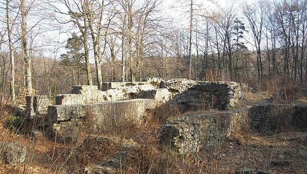 Kartouzka - ruiny kltera
