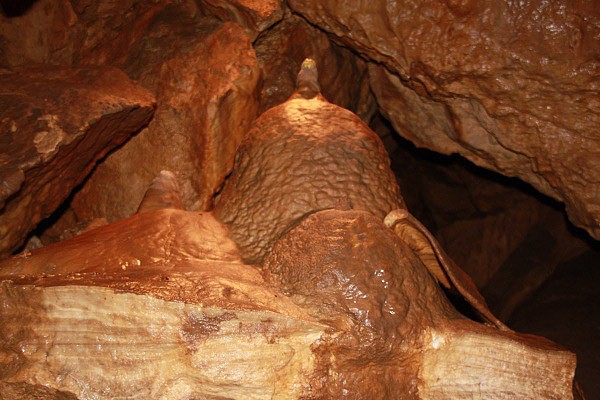 Bozkovsk dolomitov jeskyn