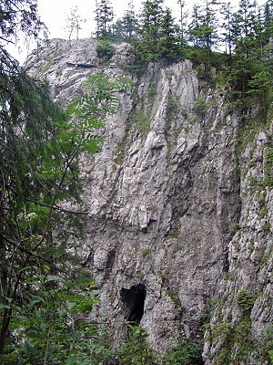 Jaskinia Mrona, vchod z jeskyn