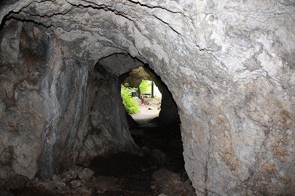 Krpnkova jeskyn, ipka