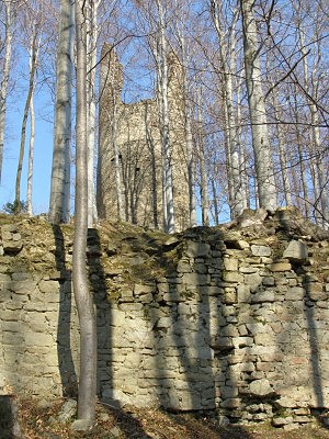 Bergfrit hradu Kaltentejn s parknem