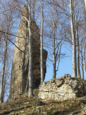 Bergfrit hradu Kaltentejn s torzem ve