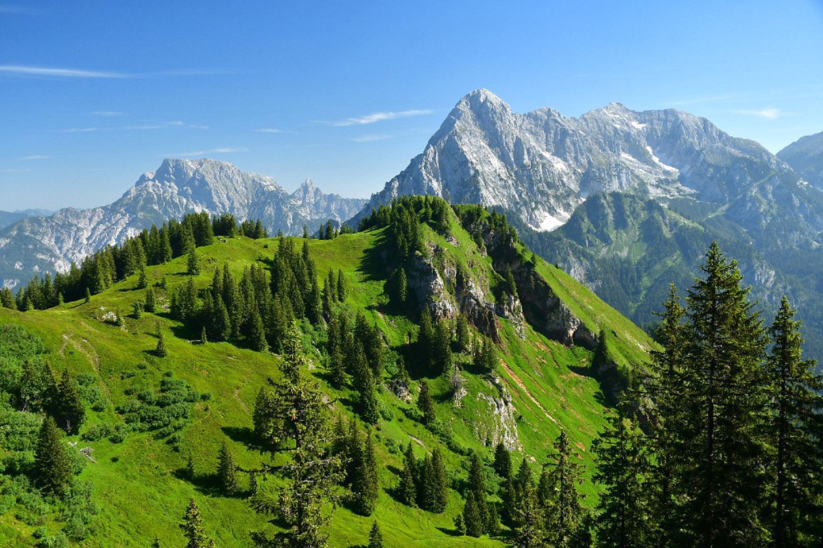 Zelen kopec Wolfsbacherturm (1747 m) s pozadm vpencovch velikn Ennstalskch Alp