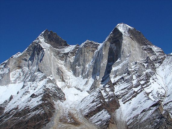 Himaljsk tty