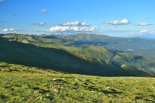 Hbety a hebeny Nzkch Taur ze Sandkogelu (2214 m)