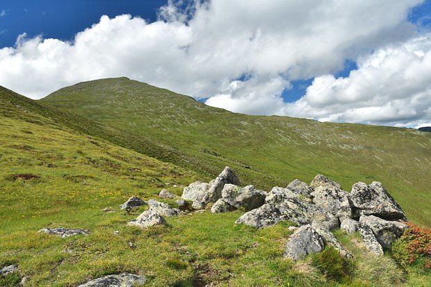 Vstup na Greim (2471 m) vede z jihu po kvetoucch alpskch loukch