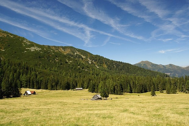 Alpsk pastvina Schnebenalm (1650 m)