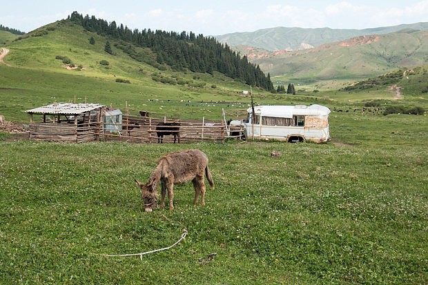 Pastviny mezi Dety-Oguz a ong-Kyzyl-Suu