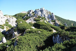 Siv vrch, Zpadn Tatry