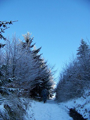 Zima v Blch Karpatech
