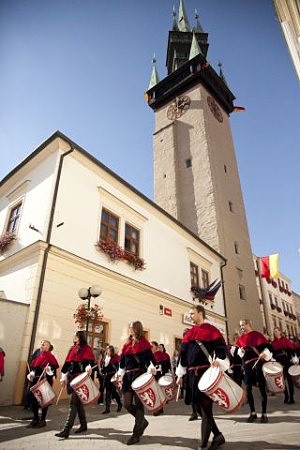 Znojemsk vinobran