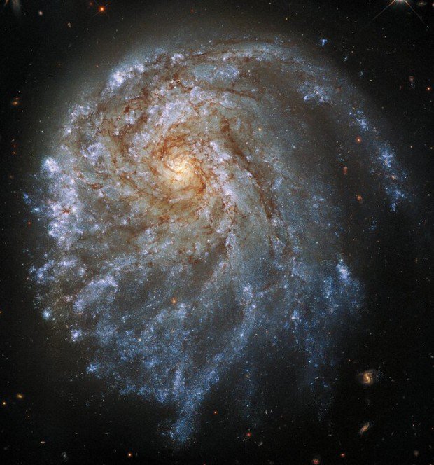 NGC 2276