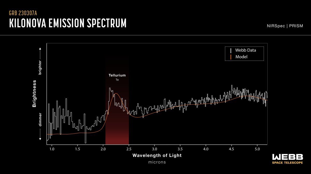 Spektrum