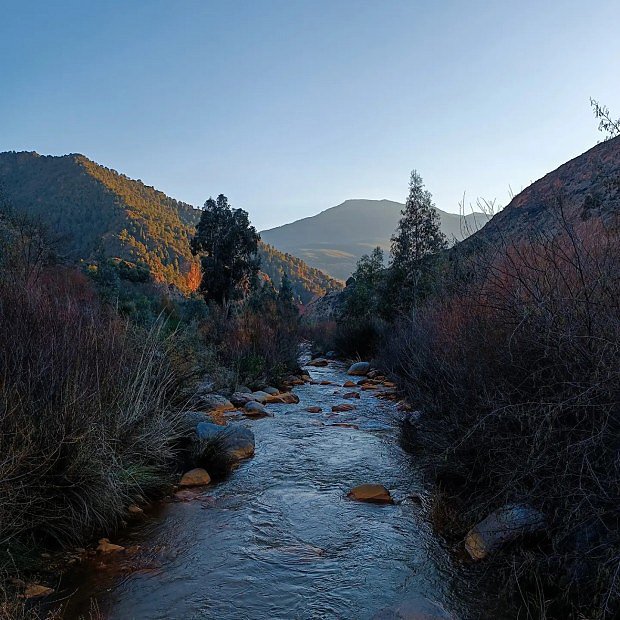 Sierra Nevada