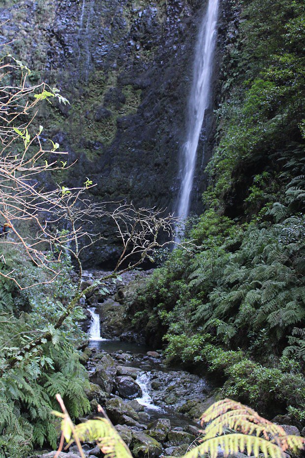 Madeira