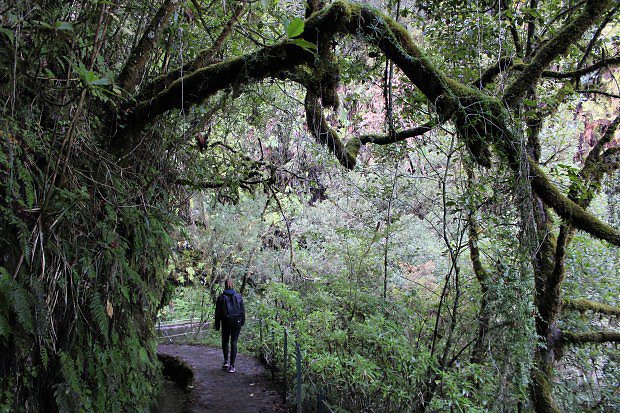 Madeira