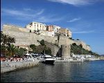 Calvi