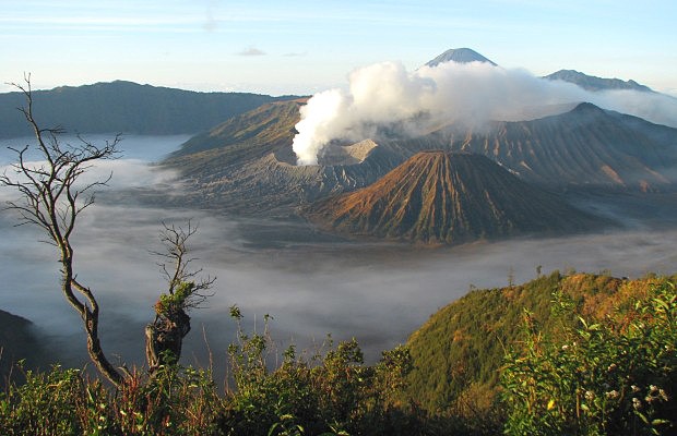 Bromo