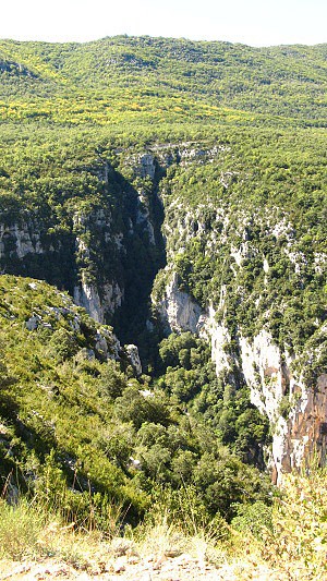 Kaon Verdon