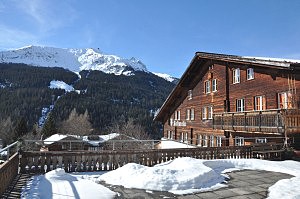 Soldanella, Klosters