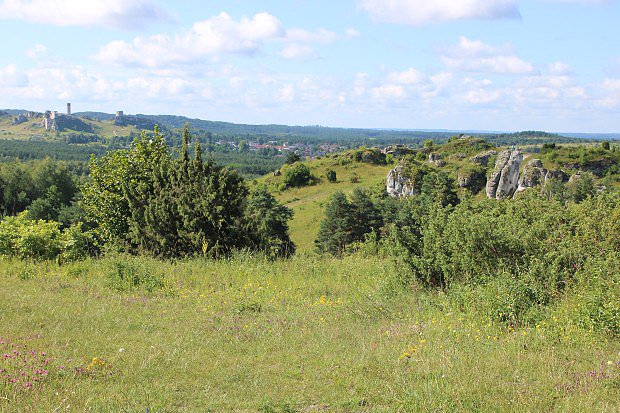 Pohled na hrad Olsztyn