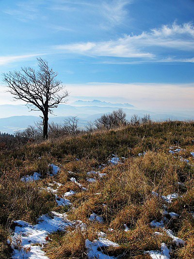 Tatry