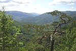 Murnska planina