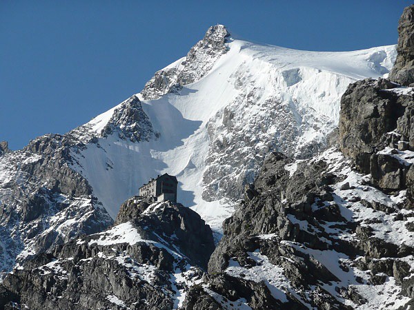 Ortler