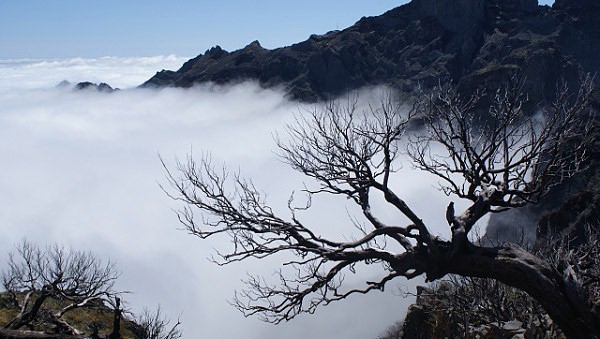 Madeira