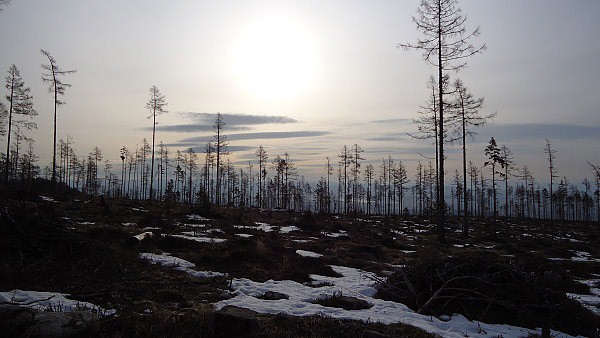 Tatry