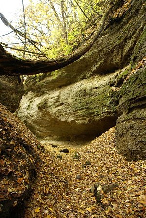 Rznorodost vrstev v rokli Paloc Grand Canyon