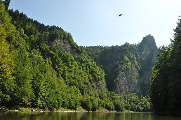 ern p nad Dunajcem pod Sokolicou