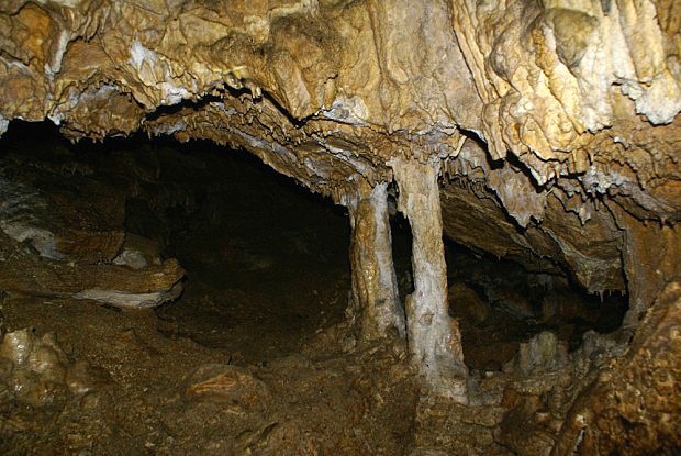 Plaveck jeskyn - stalagnty v zadn sti jeskyn