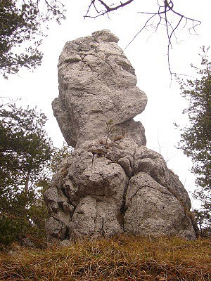 Skaliska, Zliechovsk hornatina