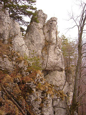 Skaliska, Zliechovsk hornatina