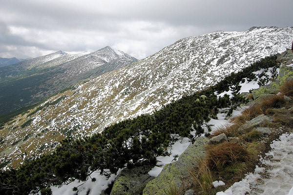 Zasnen Nzk Tatry