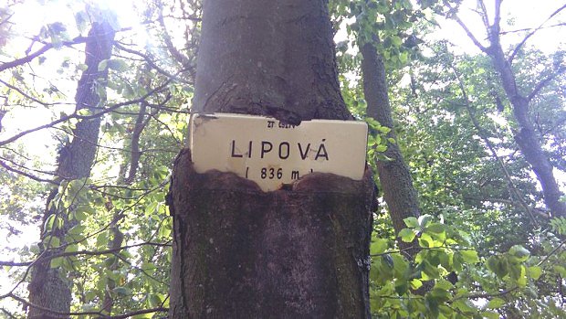 Lipov