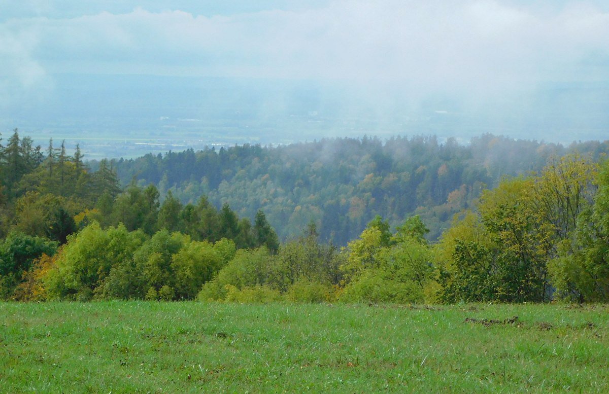 Vhledy k Zbesk vrchovin