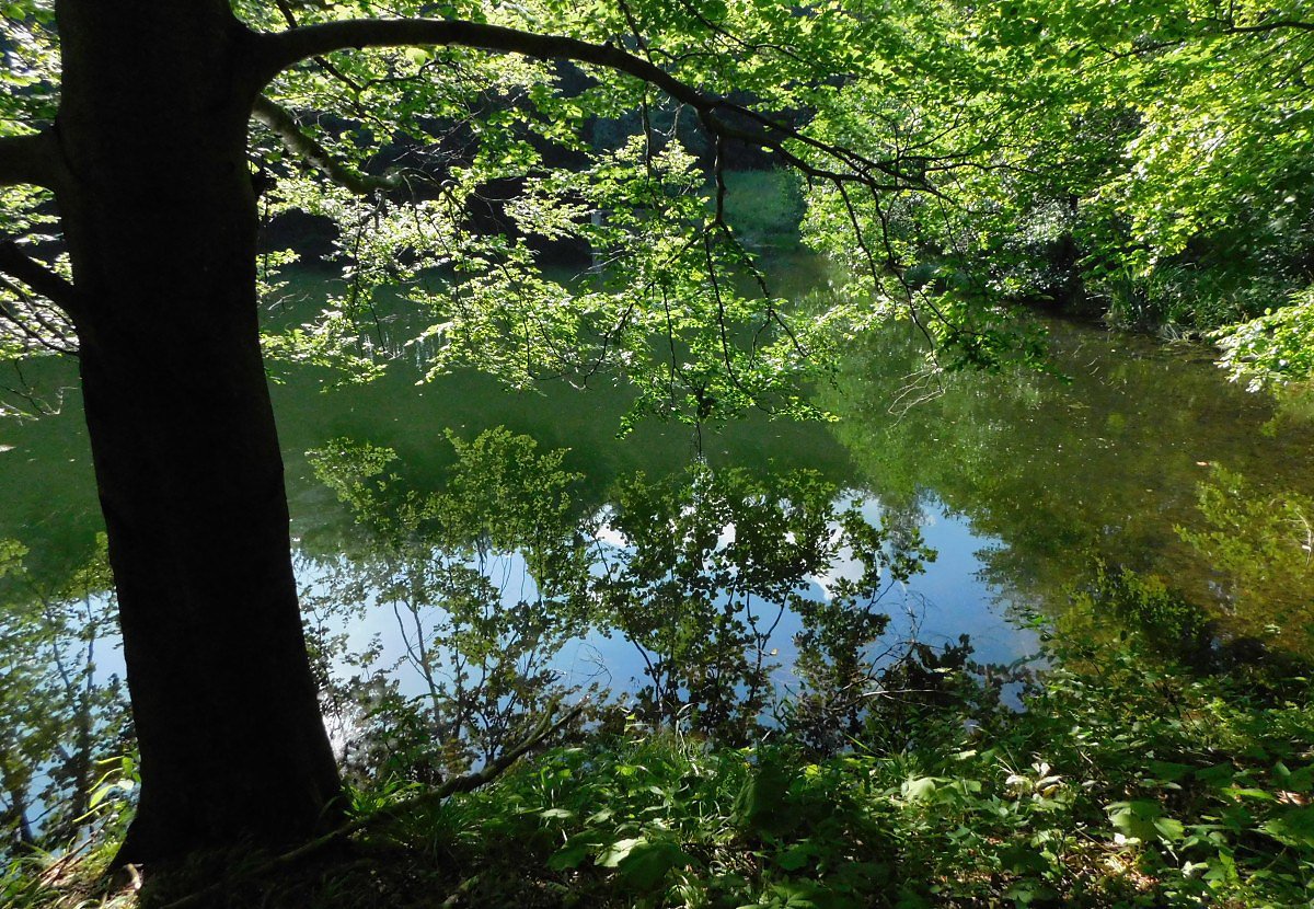 Kouzeln ern jezero